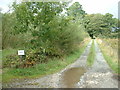 Lane to Ynys Graianog