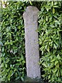 Tall wayside cross, Ludgvan churchyard