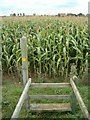 Footpath to Millslade Farm