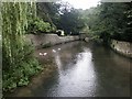 Looking downstream on the Coln, Ablington