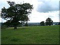 Limestone Way near Rocester