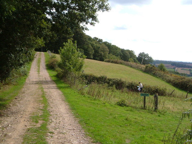 Blackberrying on Milber Down © Derek Harper :: Geograph Britain and Ireland