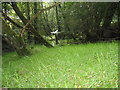 Copse below Garbett Hall