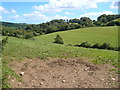 View near Woodland Barton