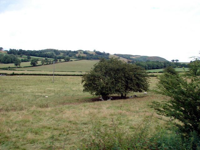 Fields beside the Welshpool & Llanfair Railway