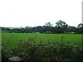 Farmland at Penbryn