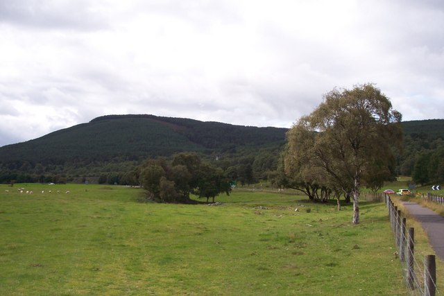Kinveachy Forest from the east