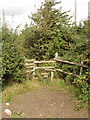 Stile near Bishopstone