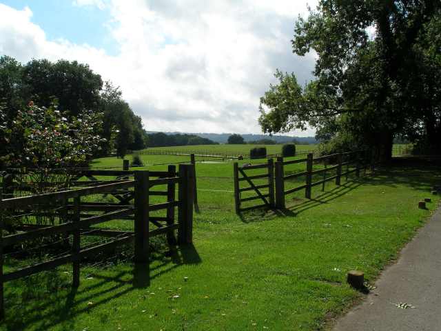 Pony enclosures at Langhurst Manor Farm