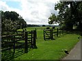 Pony enclosures at Langhurst Manor Farm