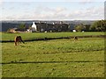 Terrace houses, Ridge View, Elland Upper Edge