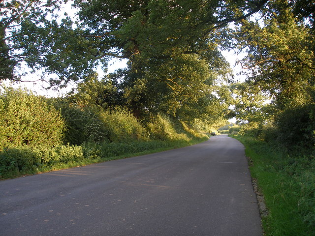 The Lane at Wall Hill, near Corley