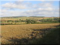 View from the road to Ascott under Wychwood