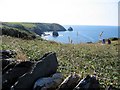 SX0991 : View from the cliffs towards Tintagel by Phil Windley