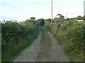 Lane at Mount Whistle, Balwest