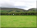 Site of Glenroan Portal Tomb