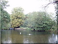 Brundon Mill Pond