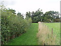 Footpath and hedges, Polstead