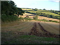 Field near Ludbrook Manor