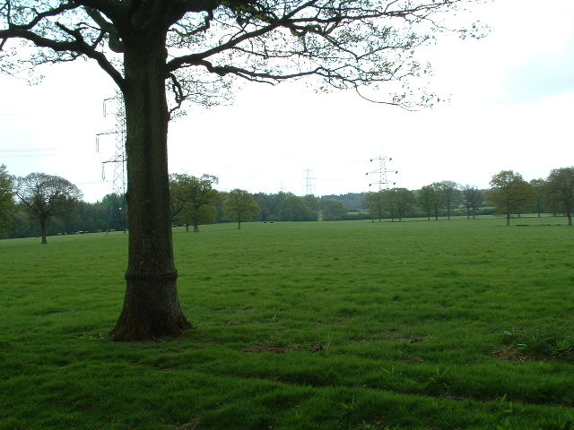 Pylons near Trawlers Farm