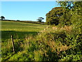 North-north-east from Whitmore Barn