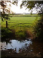 Ford into field across Shilston Brook