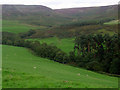 Views of Kepwick Moor