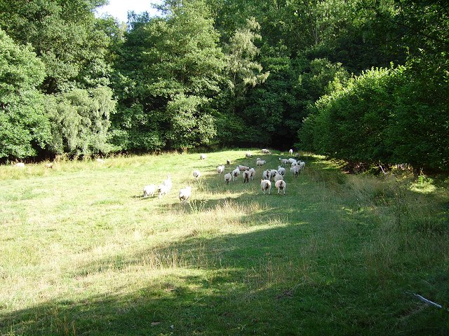 Wales England Border Richard Webb Cc By Sa 2 0 Geograph Britain   234306 A49f419a 