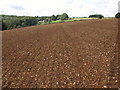 Ploughed field on Icomb Hill