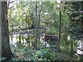 The pool at The Granary, Cublington