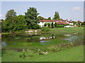 Bradmore  Green Pond - Old Coulsdon - Surrey