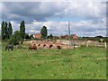 Cuttlestone Bridge