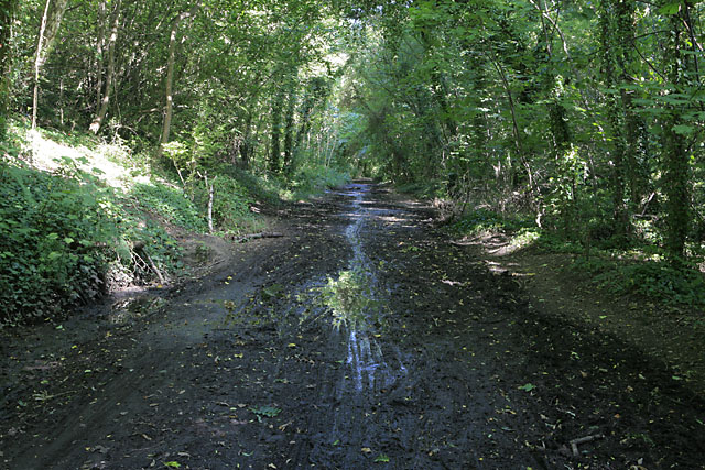 meon valley cycle trail