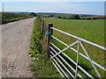 Track to Higher Heathfield Farm