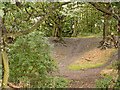 Woolley Moor - Old coal mine workings