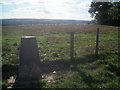 Shiny sheep & shadowy trig. point