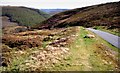 Summit of the Horseshoe Pass