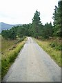 NH5378 : Estate road to Kildermorie Lodge by Gordon Brown