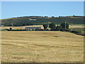 View to Mormond Hill White Horse figure