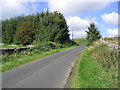 The B711 road near Curling Pond Plantation