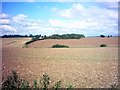 TM3269 : Fields near Manor House Farm by Geographer