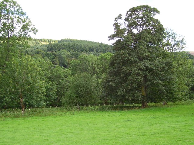 Lour Wood, Scottish Borders - area information, map, walks and more