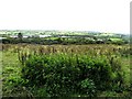 Cranlome Townland