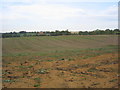 SP2629 : Sandy field near Little Compton by David Stowell