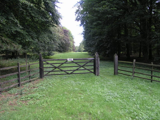 Mausoleum Woods © Michael Patterson :: Geograph Britain and Ireland