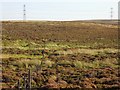 NT5960 : Berwickshire - East Lothian march fence. by Richard Webb