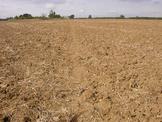Footpath through Ploughed Field
