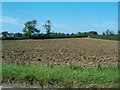 Ploughed Field