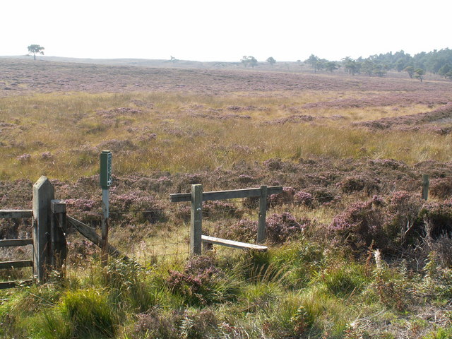Footpath on Fylingdales Moor