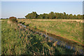 River Smite near Shelton Lodge